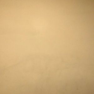 Meet your Posher, Jose